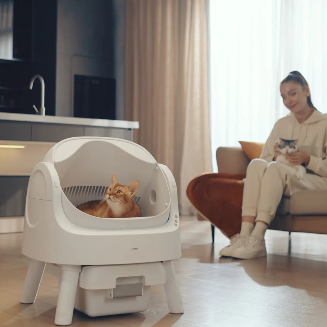 Autoscooper 11 Open-Top Self-Cleaning Smart Cat Litter Box-