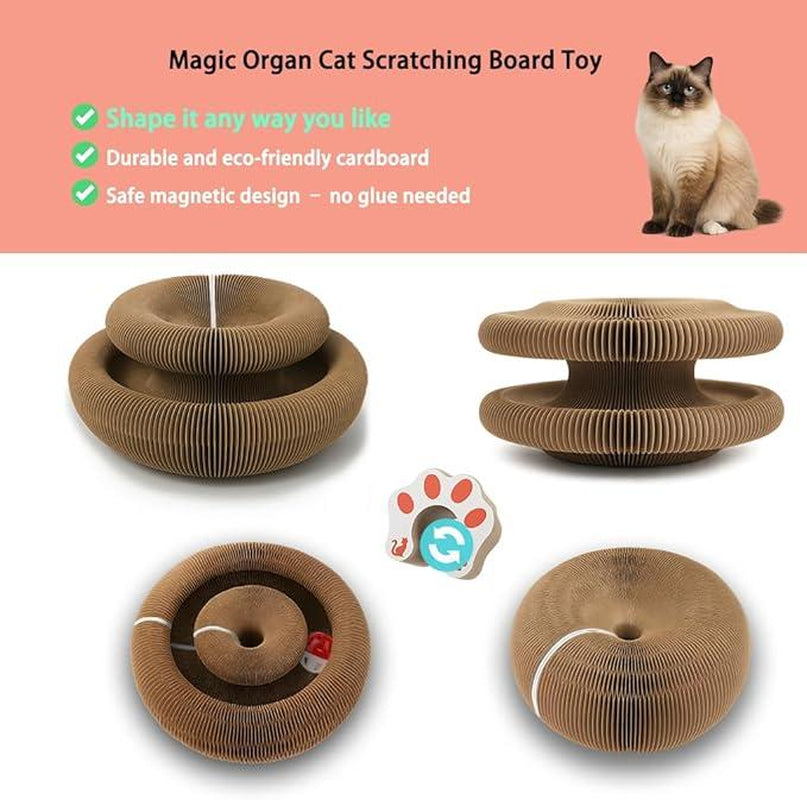 Interactive Foldable Cat Scratching Board with Ball – Interactive Cat Toy for Mental & Physical Exercise