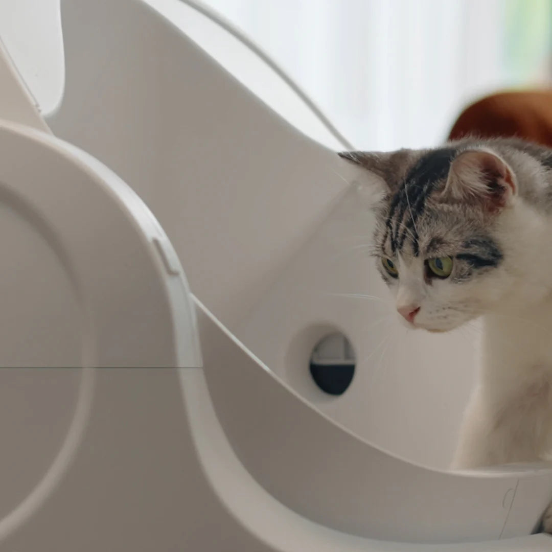 Autoscooper 11 Open-Top Self-Cleaning Smart Cat Litter Box-
