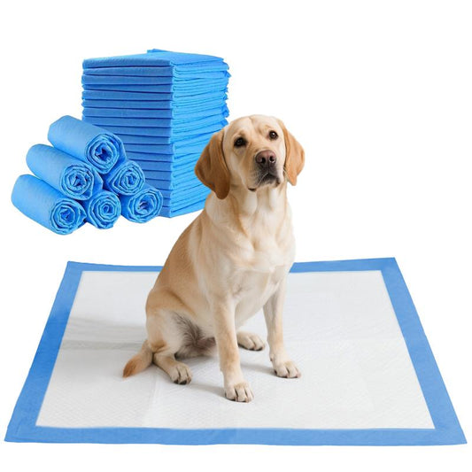 Goofypet 13" X 18" Training Pad, 100 Count Dog Pee Pads, Doggie Pads, Disposable Puppy Pee Pads